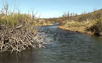 Upper Pecos River Aquatic Life Montoring, Texas