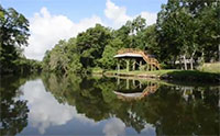 Dickinson Bayou Watershed and Water Quality